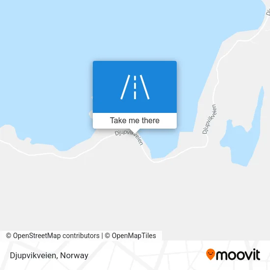Djupvikveien map