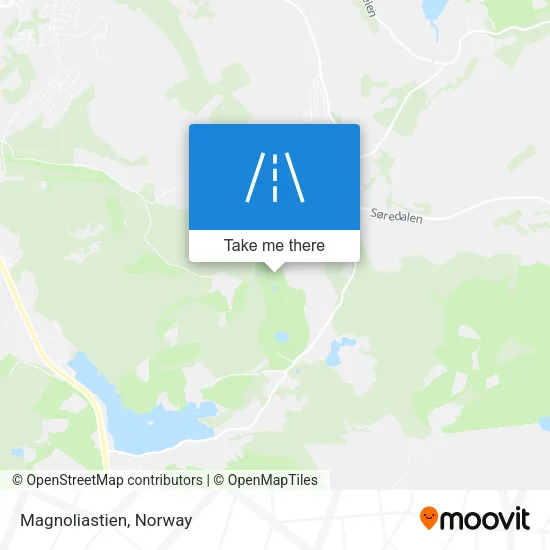 Magnoliastien map