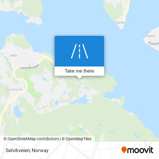 Selvikveien map