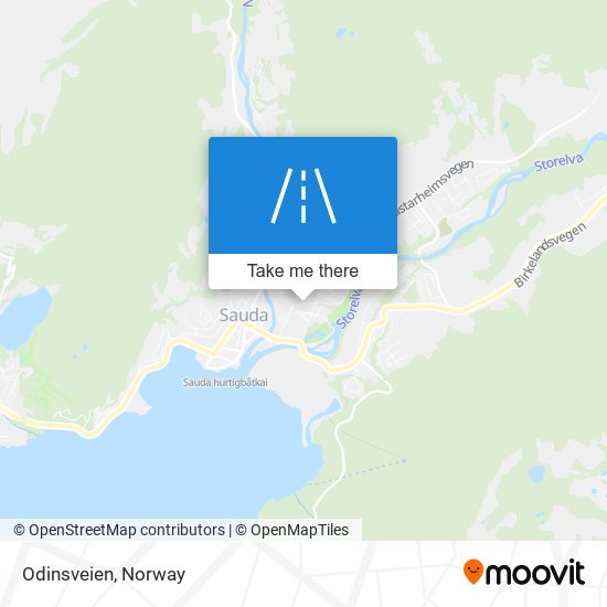 Odinsveien map