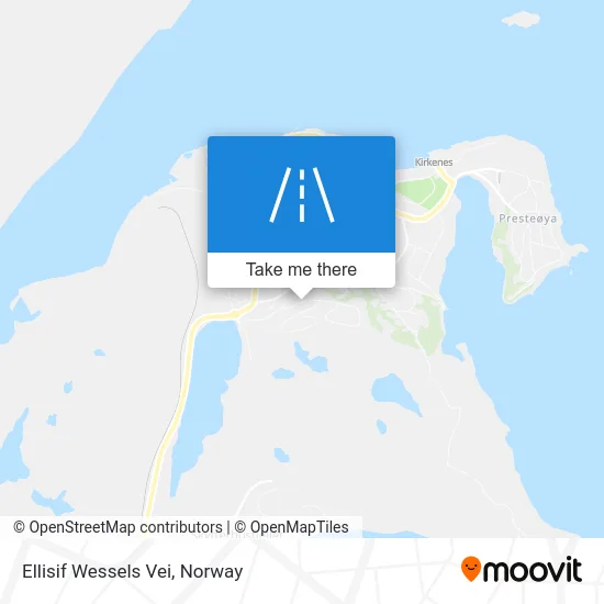 Ellisif Wessels Vei map