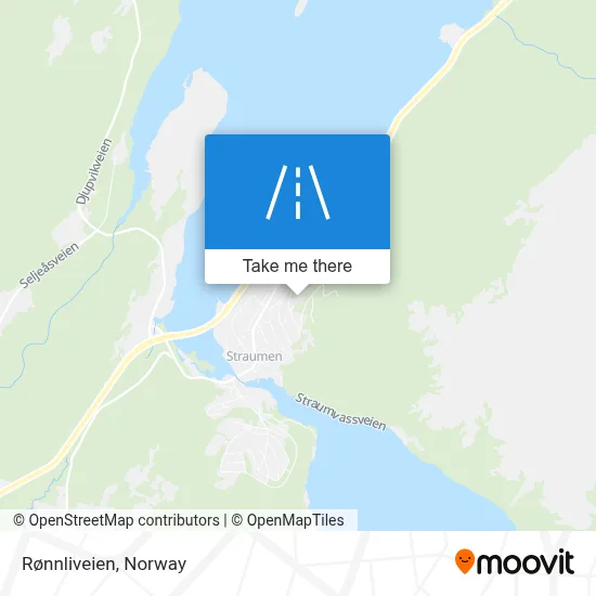 Rønnliveien map