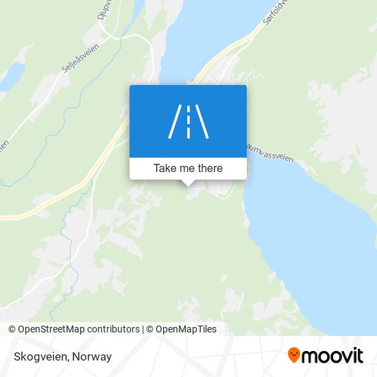 Skogveien map