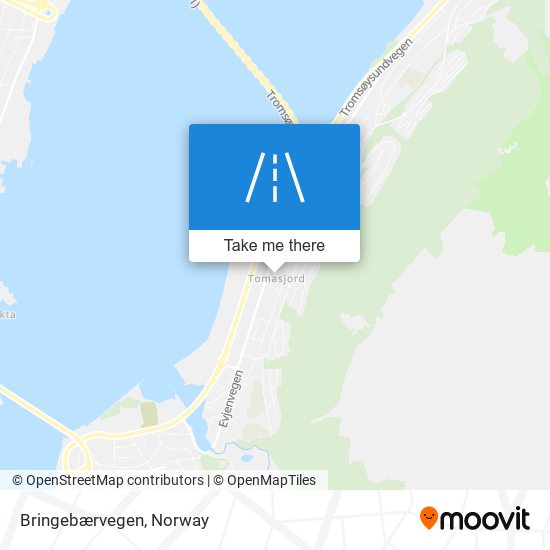 Bringebærvegen map