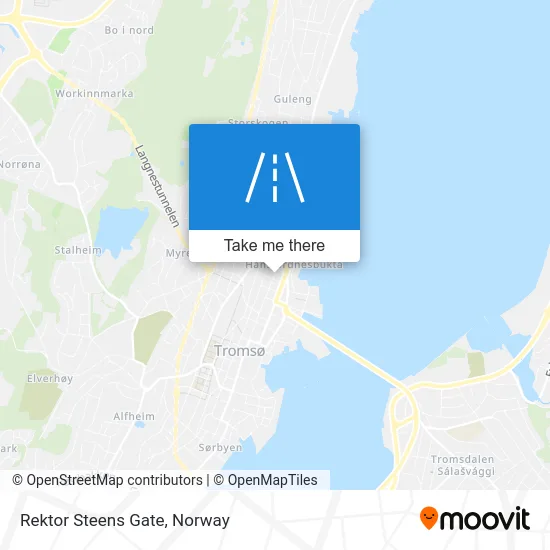 Rektor Steens Gate map