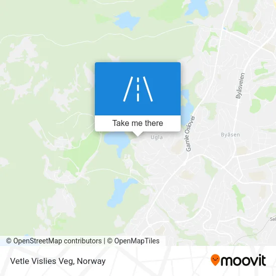 Vetle Vislies Veg map