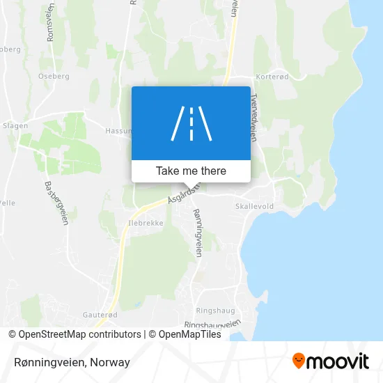 Rønningveien map
