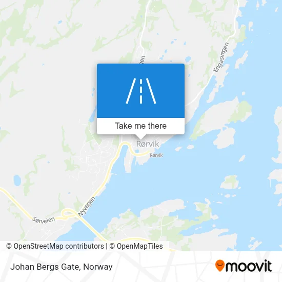 Johan Bergs Gate map