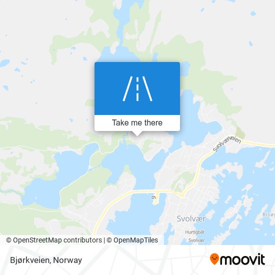 Bjørkveien map