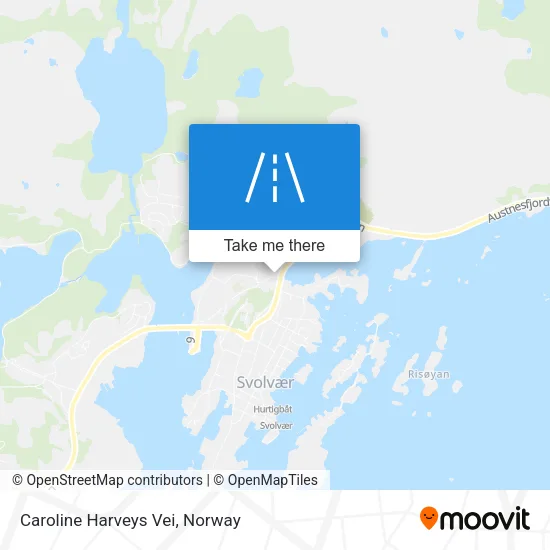 Caroline Harveys Vei map