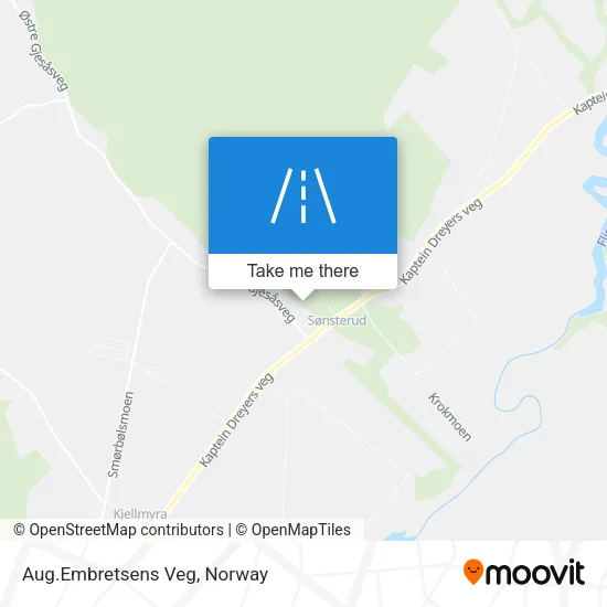 Aug.Embretsens Veg map