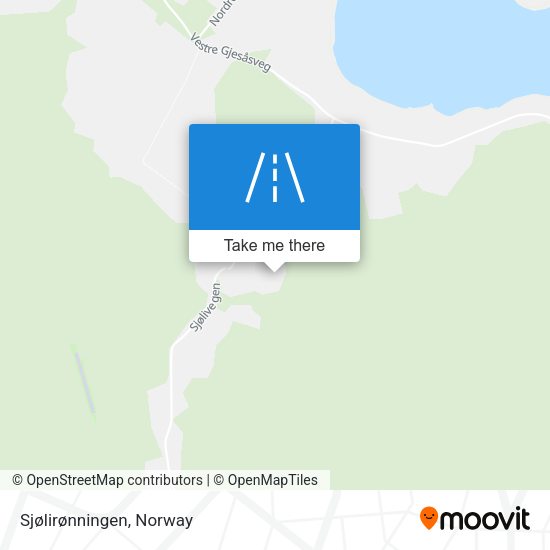 Sjølirønningen map