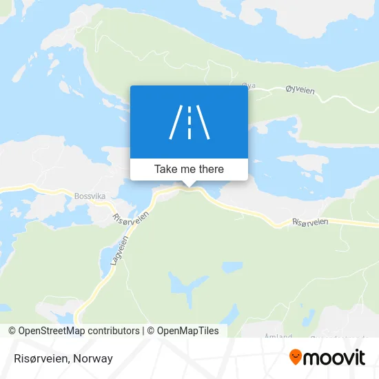 Risørveien map
