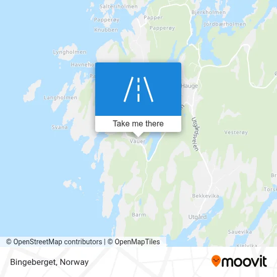 Bingeberget map