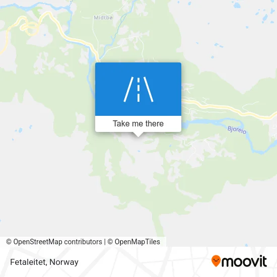 Fetaleitet map