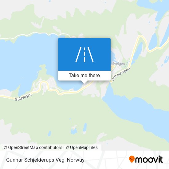 Gunnar Schjelderups Veg map