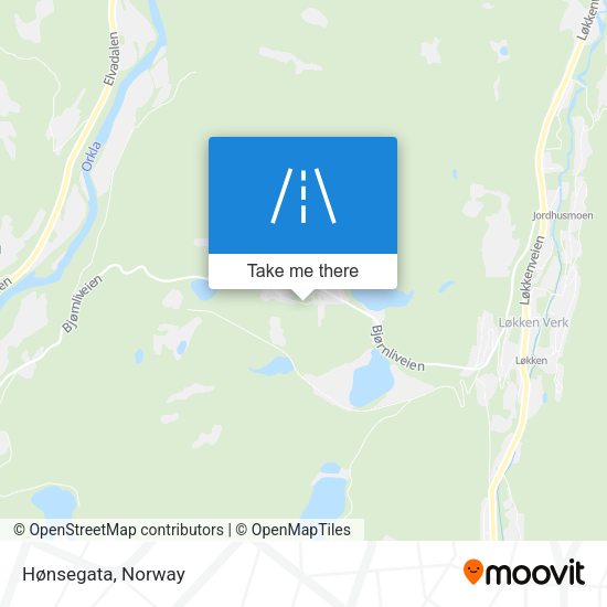 Hønsegata map