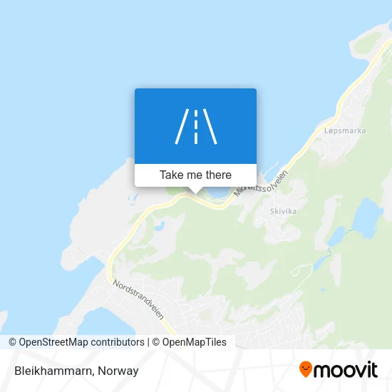 Bleikhammarn map