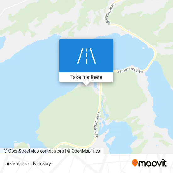 Åseliveien map