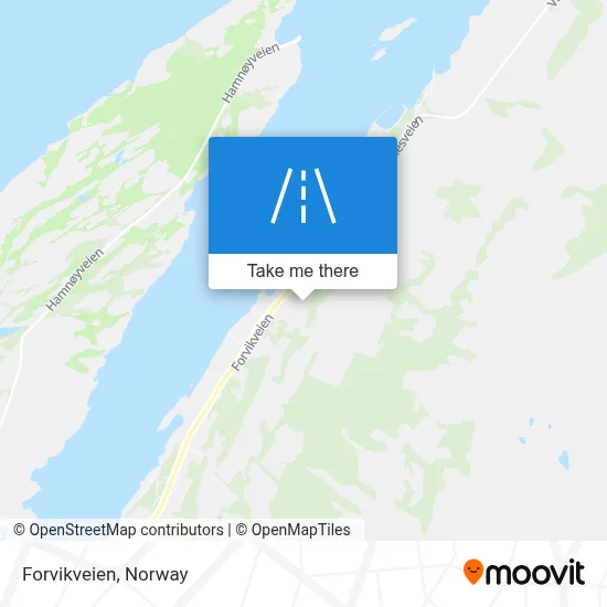 Forvikveien map