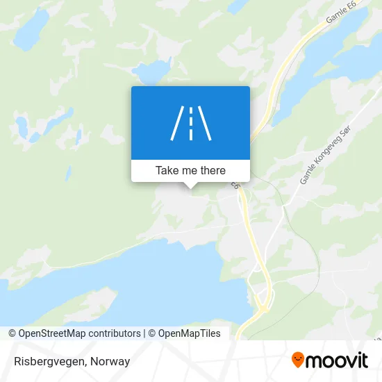 Risbergvegen map