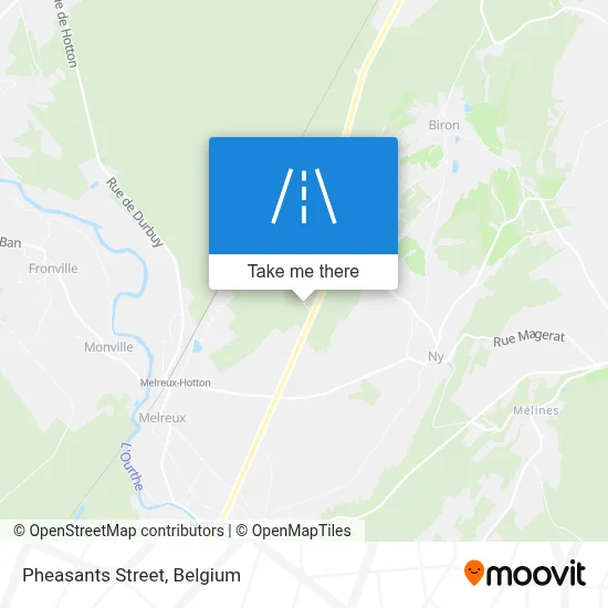 Pheasants Street map
