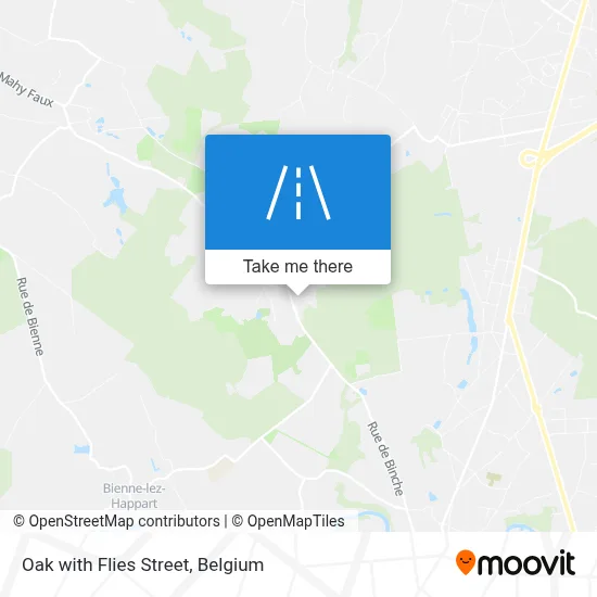 Oak with Flies Street map