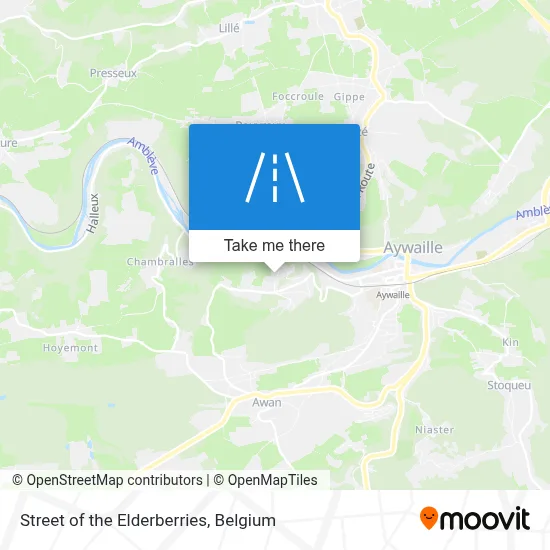 Street of the Elderberries map