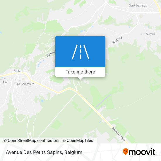 Avenue Des Petits Sapins map
