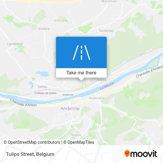 Tulips Street map