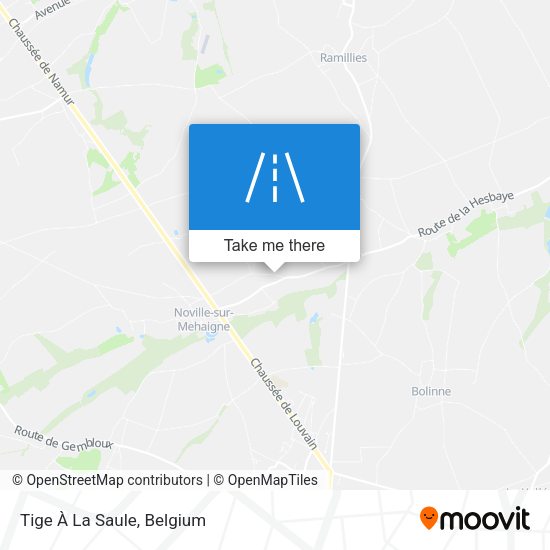 Tige À La Saule plan