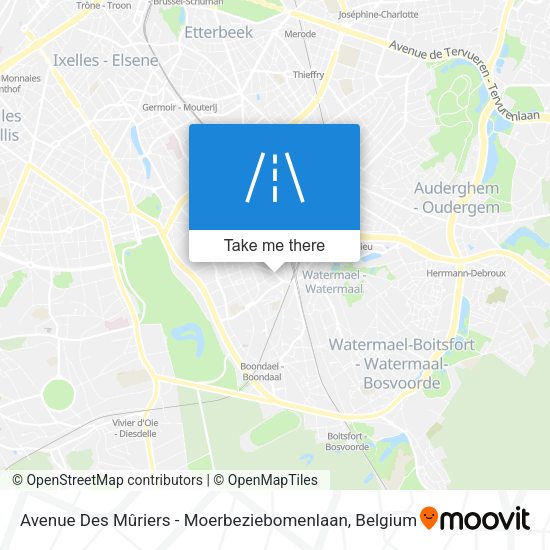 Avenue Des Mûriers - Moerbeziebomenlaan plan
