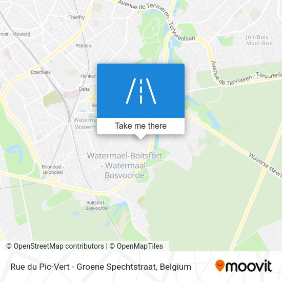 Rue du Pic-Vert - Groene Spechtstraat map
