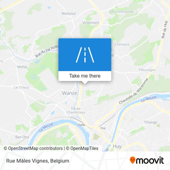 Rue Mâles Vignes plan