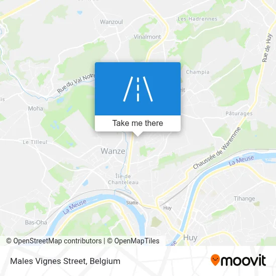 Males Vignes Street map