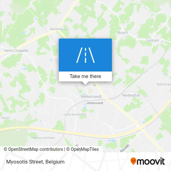 Myosotis Street map
