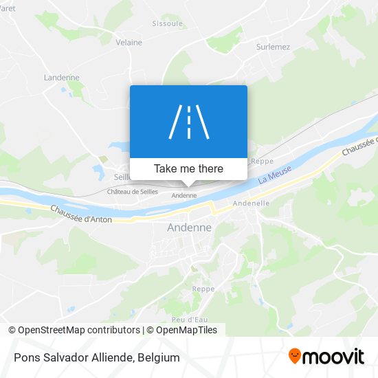 Pons Salvador Alliende map