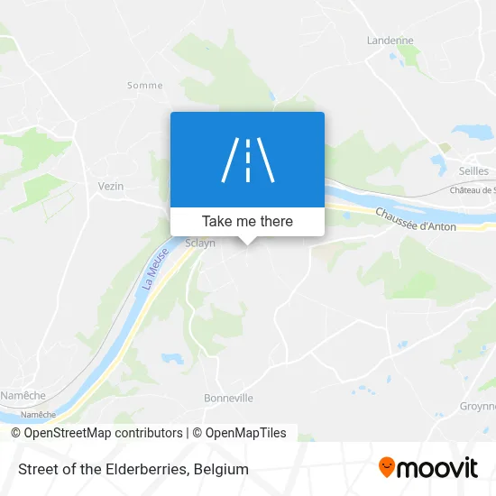 Street of the Elderberries map