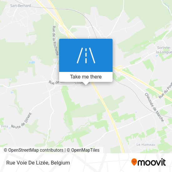 Rue Voie De Lizée map