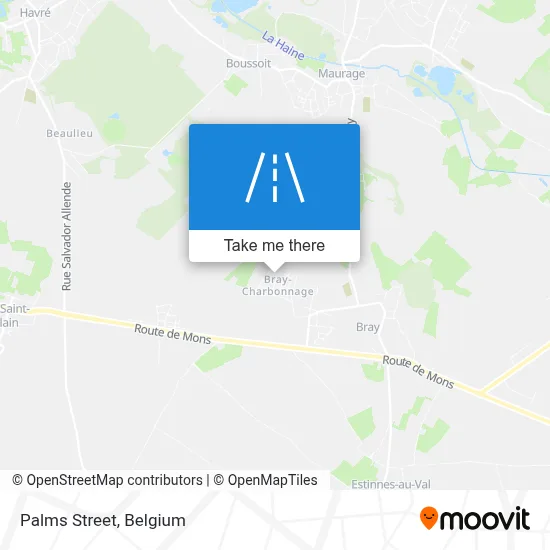 Palms Street map