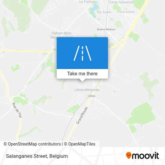 Salanganes Street map