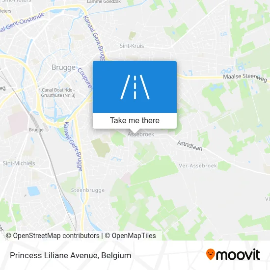 Princess Liliane Avenue map