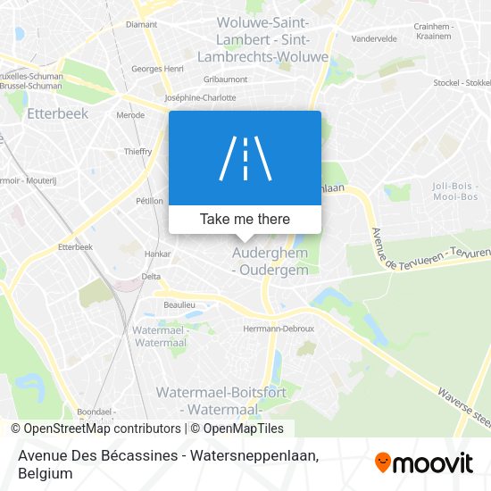 Avenue Des Bécassines - Watersneppenlaan plan