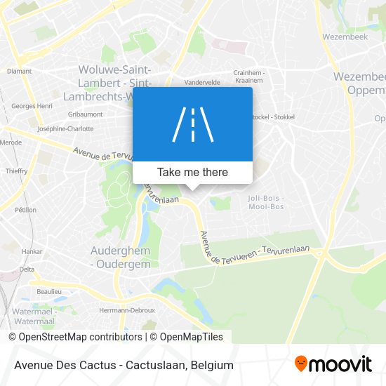 Avenue Des Cactus - Cactuslaan map