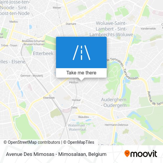 Avenue Des Mimosas - Mimosalaan plan