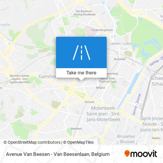 Avenue Van Beesen - Van Beesenlaan plan