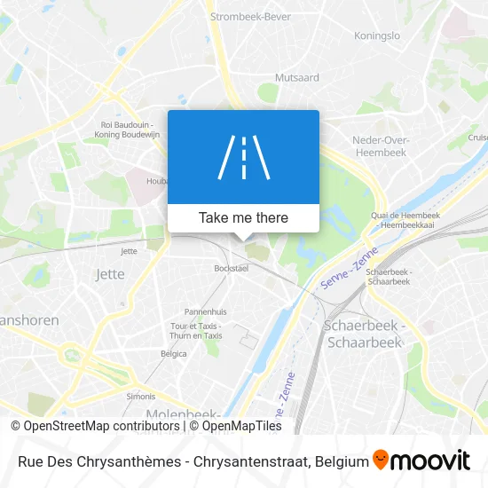 Chrysanthemums Street map