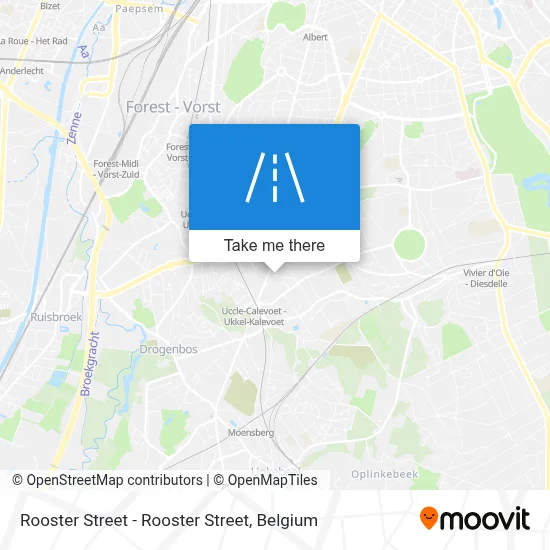 Rooster Street - Rooster Street map