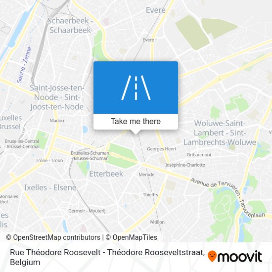 Rue Théodore Roosevelt - Théodore Rooseveltstraat plan