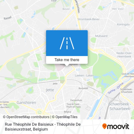 Rue Théophile De Baisieux - Théophile De Baisieuxstraat map
